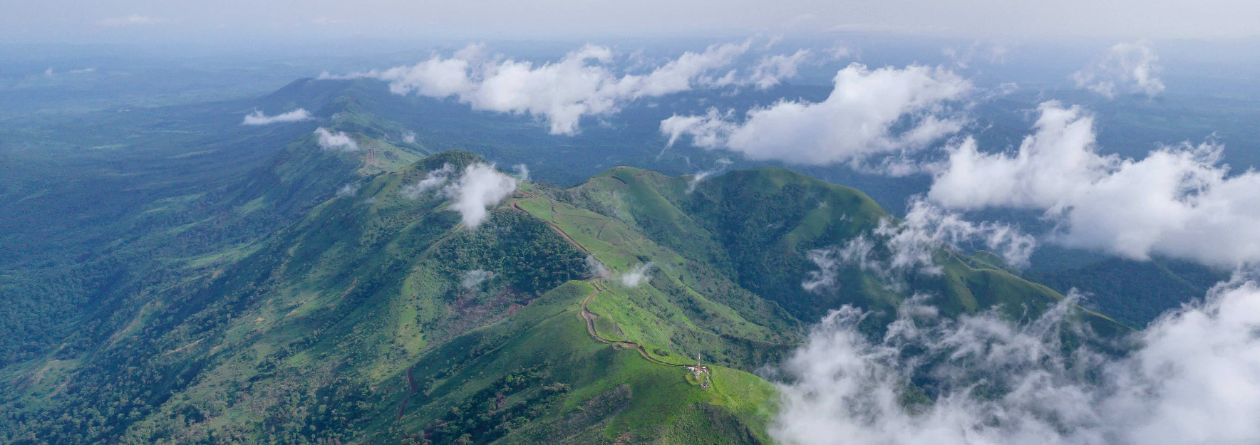 西芒杜合作伙伴庆祝项目投产